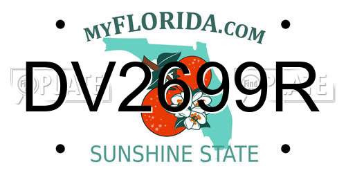 DV2699R Florida License Plate