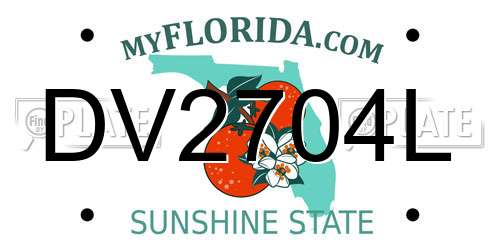 DV2704L Florida License Plate