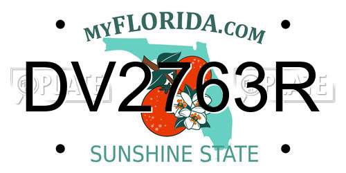 DV2763R Florida License Plate