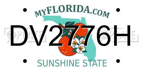 DV2776H Florida License Plate
