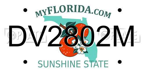 DV2802M Florida License Plate