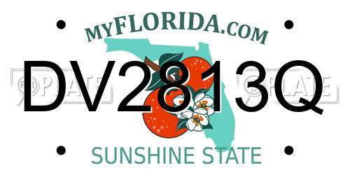 DV2813Q Florida License Plate
