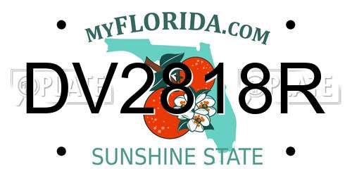 DV2818R Florida License Plate