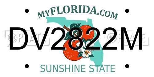 DV2822M Florida License Plate