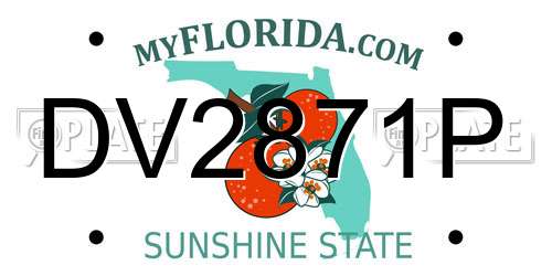 DV2871P Florida License Plate