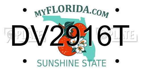 DV2916T Florida License Plate