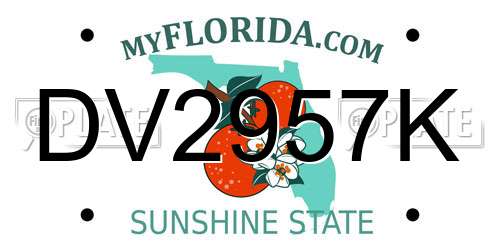 DV2957K Florida License Plate