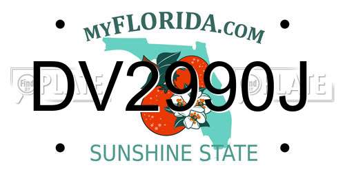DV2990J Florida License Plate