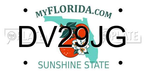 DV29JG Florida License Plate