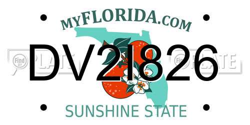 DV2I826 Florida License Plate