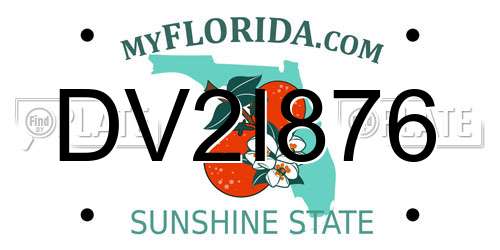 DV2I876 Florida License Plate