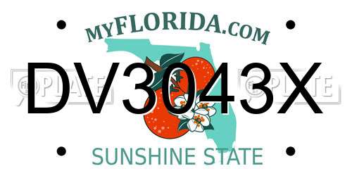 DV3043X Florida License Plate