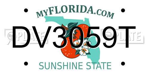DV3059T Florida License Plate