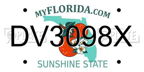 DV3098X Florida License Plate