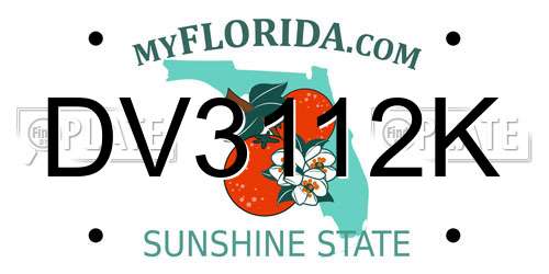 DV3112K Florida License Plate