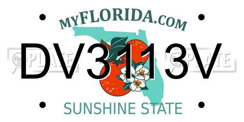 DV3113V Florida License Plate