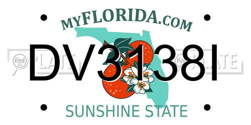 DV3138I Florida License Plate