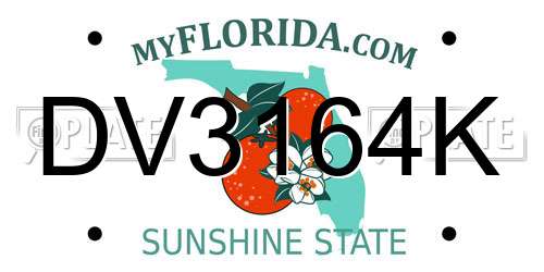 DV3164K Florida License Plate