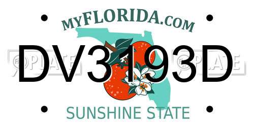 DV3193D Florida License Plate
