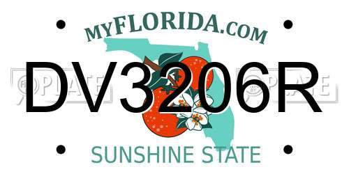 DV3206R Florida License Plate