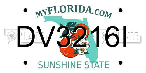 DV3216I Florida License Plate