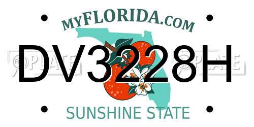 DV3228H Florida License Plate