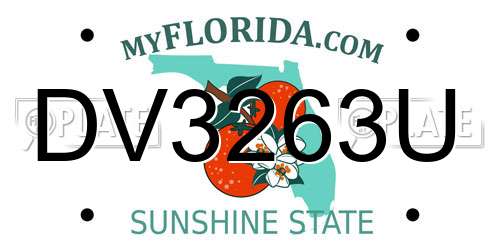 DV3263U Florida License Plate