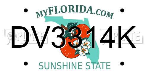 DV3314K Florida License Plate