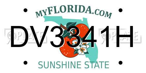 DV3341H Florida License Plate