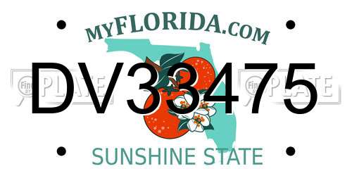 DV33475 Florida License Plate