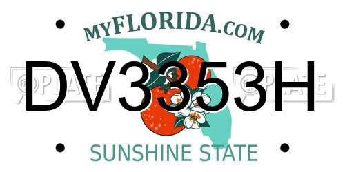 DV3353H Florida License Plate