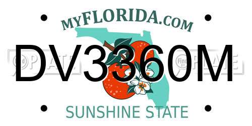 DV3360M Florida License Plate