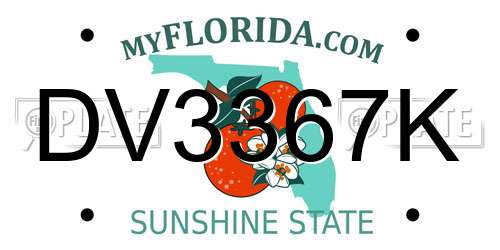 DV3367K Florida License Plate