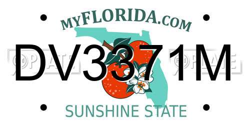 DV3371M Florida License Plate