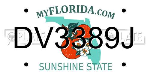 DV3389J Florida License Plate