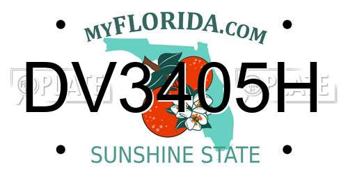 DV3405H Florida License Plate