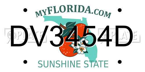 DV3454D Florida License Plate