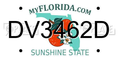 DV3462D Florida License Plate