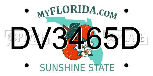 DV3465D Florida License Plate
