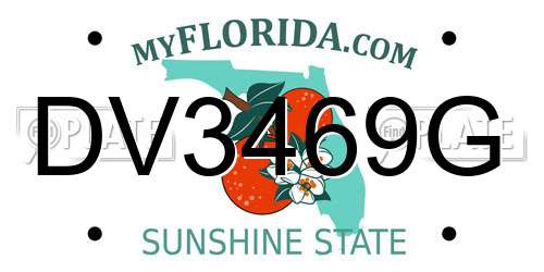 DV3469G Florida License Plate