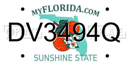 DV3494Q Florida License Plate