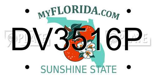 DV3516P Florida License Plate