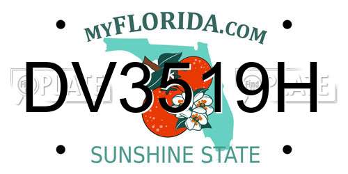 DV3519H Florida License Plate