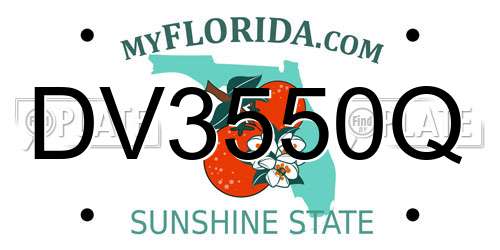 DV3550Q Florida License Plate