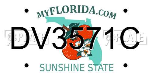 DV3571C Florida License Plate