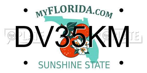 DV35KM Florida License Plate