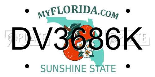 DV3686K Florida License Plate