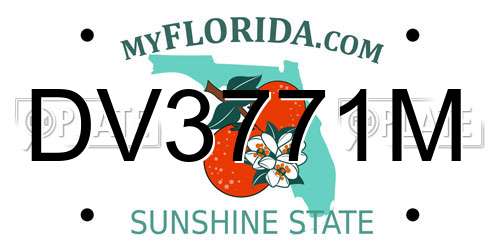DV3771M Florida License Plate