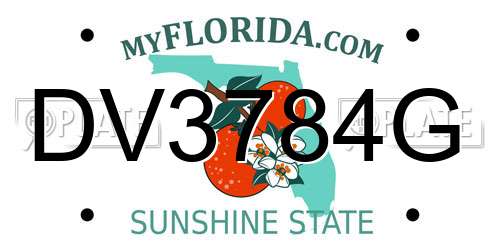 DV3784G Florida License Plate