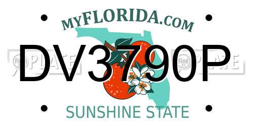 DV3790P Florida License Plate